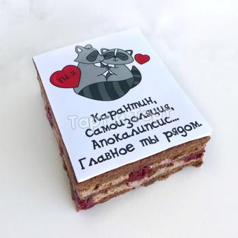 Торт-открытка еноты