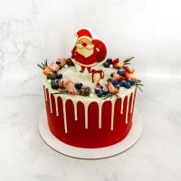 Торт №113 -  Новогодний с Дедом Морозом